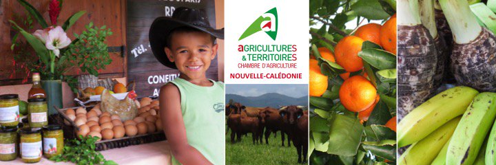 Chambre Agri NC tweet media