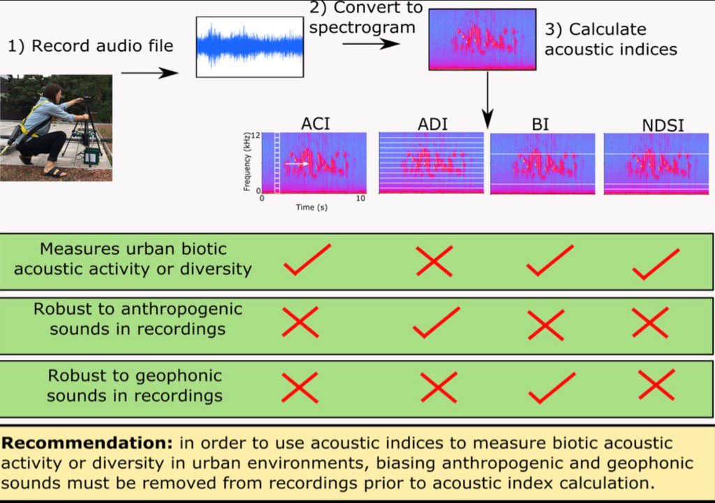 Urban soundscapes are so noisy! Current #ecoacoustic methods just can't hack it! sciencedirect.com/science/articl…
