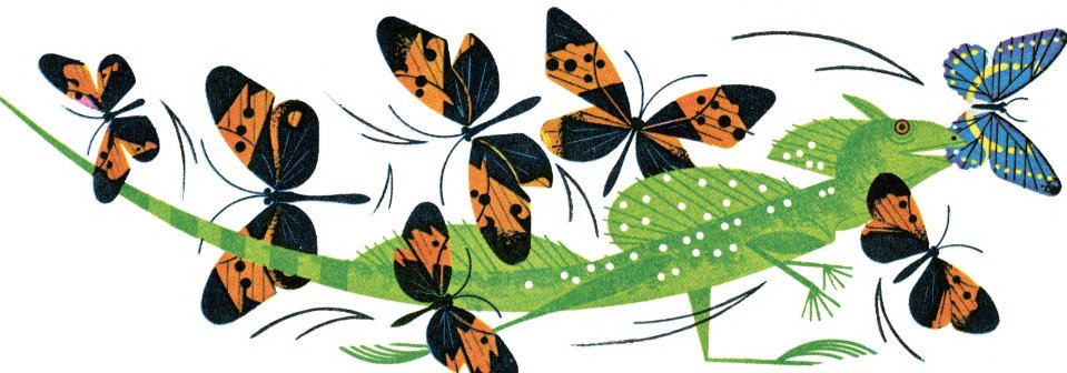MurielsMurals's tweet photo. What can I say about the late Charley Harper?  Absolute genius, sublime illustrations and a huge inspiration to Muriel..... https://t.co/nx5xbn70OM