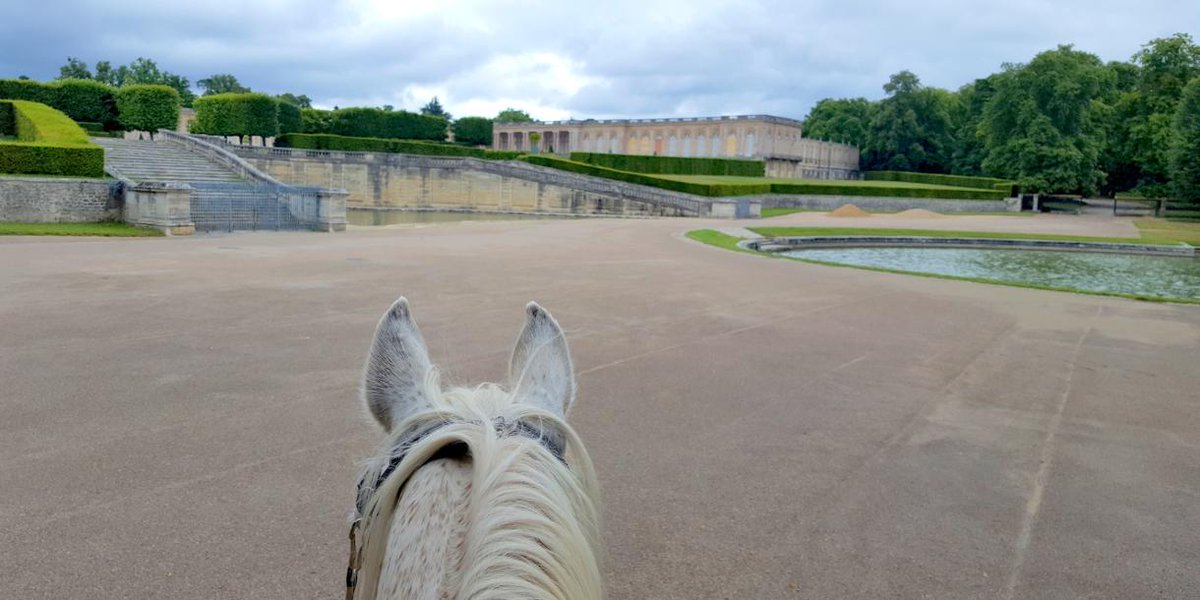UniqueToursFcty's tweet photo. Have you ever though about visiting #Versailles on Horseback ? 🐴 Discover our new unforgettable tour near #Paris 😮 https://t.co/SWKH0RyJQr https://t.co/SBU5xOSxwG