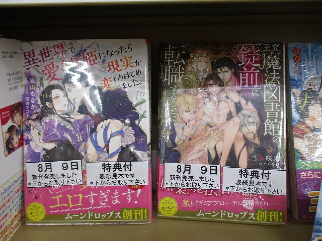 芳林堂書店コミックプラザ 新刊情報 竹書房 ムーンドロップス2点入荷致しました 王立魔法図書館の 錠前 に 転職することになりまして 金髪王子 ドs魔導師 真面目な司祭 奥手 異世界で愛され姫になったら現実が変わりはじめました 憧れの 芳林堂書店コミックプラザ 新刊情報 竹書房 ムーンドロップス2点入荷致しました 王立魔法図書館の 錠前 に 転職することになりまして 金髪王子 ドs魔導師 真面目な司祭 奥手 異世界で愛され姫になったら現実が変わりはじめました 憧れの