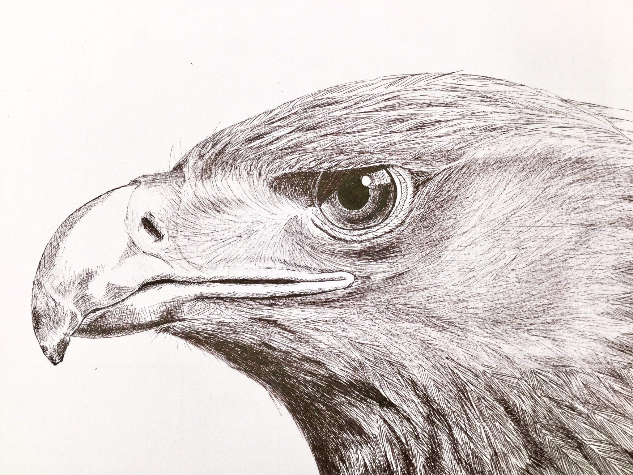 経験ゼロから始める絵画教室 つくば 中学生 大人対象 見学無料 体験受講あり 月2回計4時間 生徒作品 My Student S Work 模写 Facsimile 教室の風景 A Scene Of My Class 絵 作品 アート イラスト つくば ペン画 絵描き Art 鉛筆