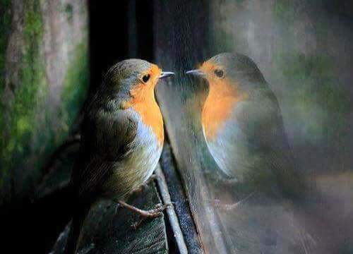 مع كل تجربة نحياها نكتشف  ذواتنا اكثر فأكثر فأذا بنا لا نعرف عن أنفسنا ٱلا القليل