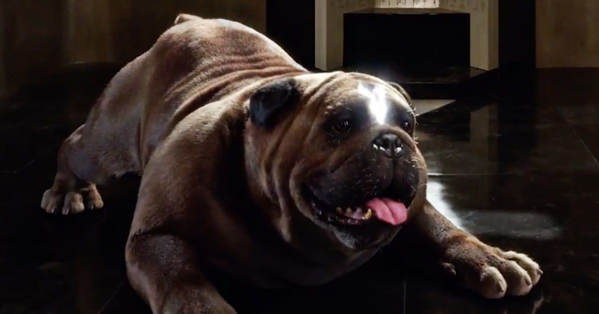 SuperNewsLiveTV's tweet photo. #MPInterview: Directer @roelreine reveals the VFX behind bringing Lockjaw to life.
by @DavidOpie
https://t.co/8yyZWBBA8D https://t.co/OmS6M6XKBG