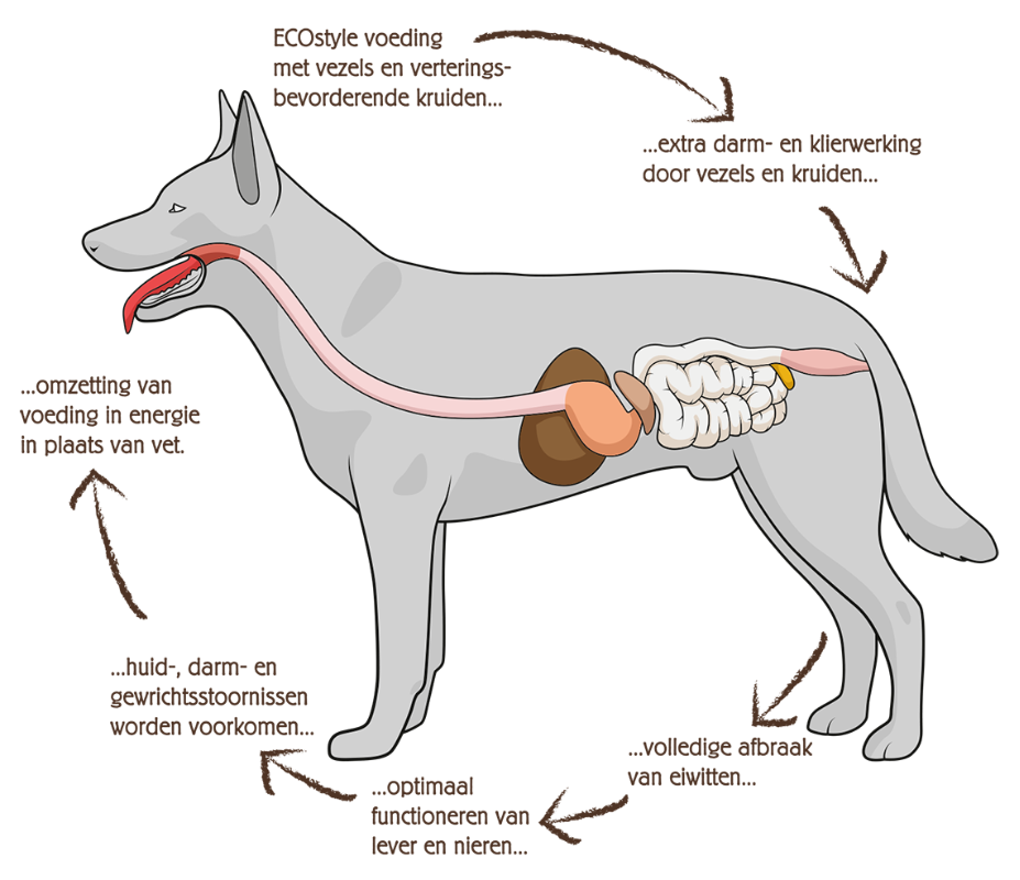 ECOstyle Animal Care tweet media