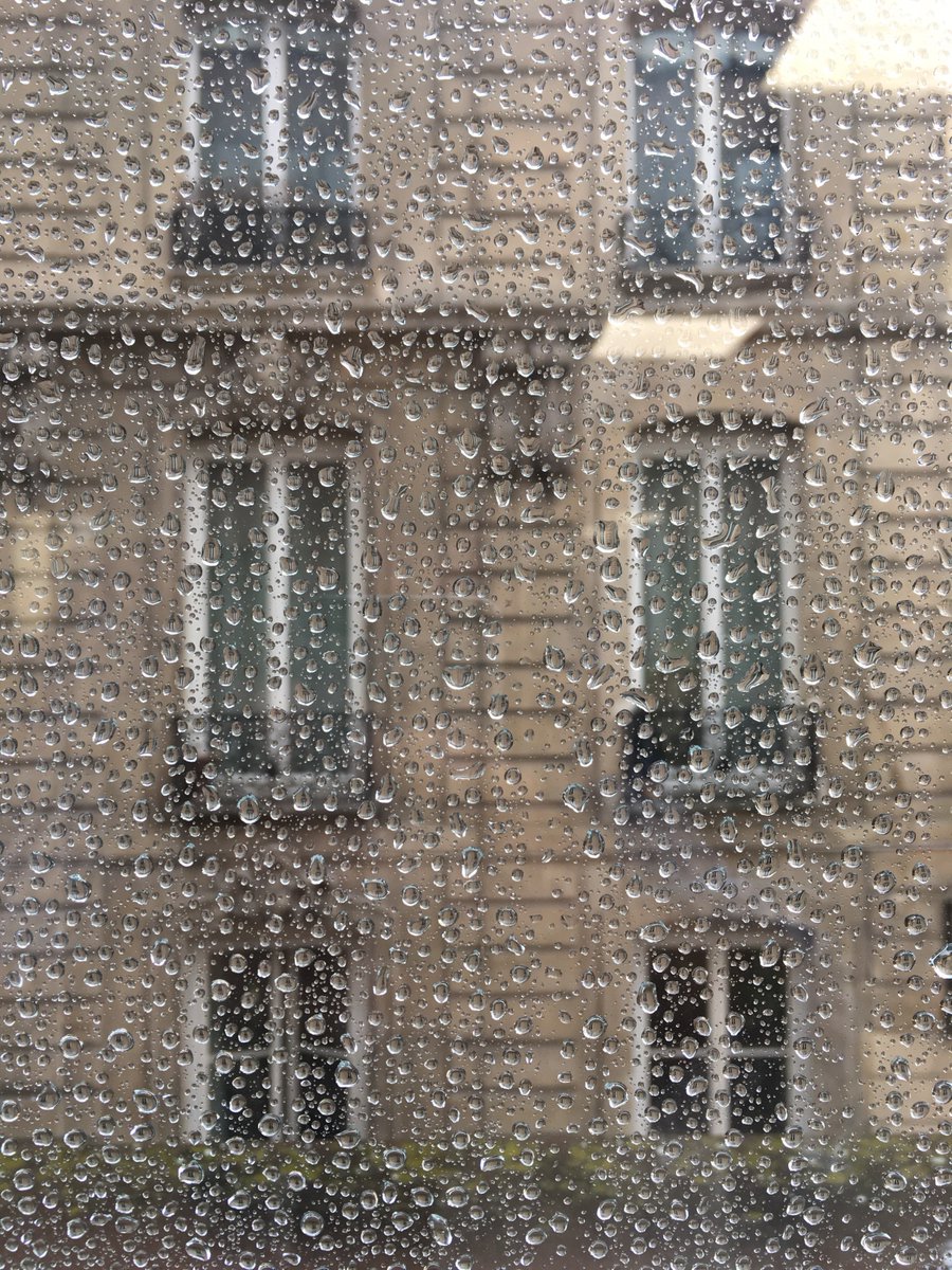 CheerzTo's tweet photo. On est pas bien là, au bureau, bien au chaud, pendant que la pluie tombe sur leurs paréos? #memepasjaloux https://t.co/NrIOVa6vlU