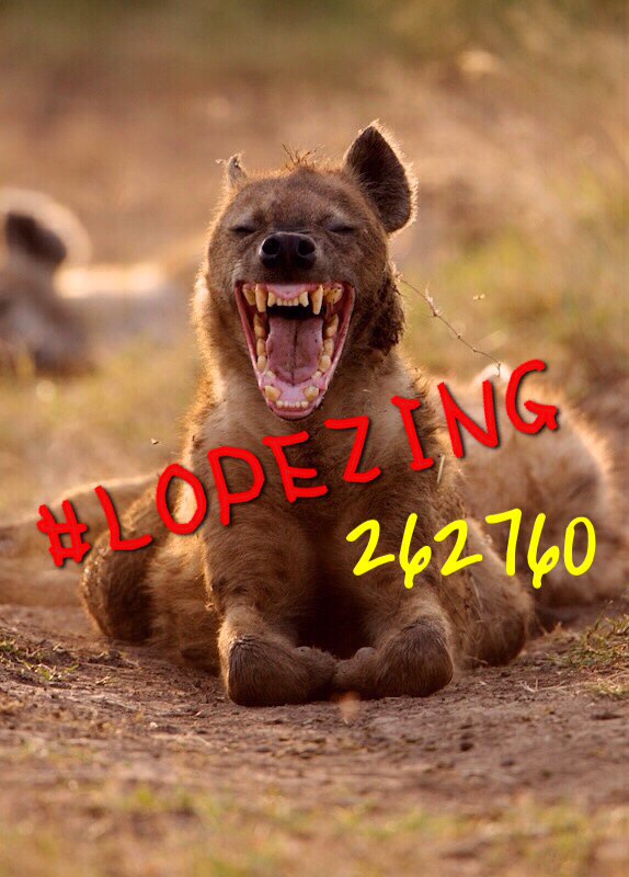 dustinbennett76's tweet photo. @sportsmediaLM #LOPEZING https://t.co/4minTAElzs