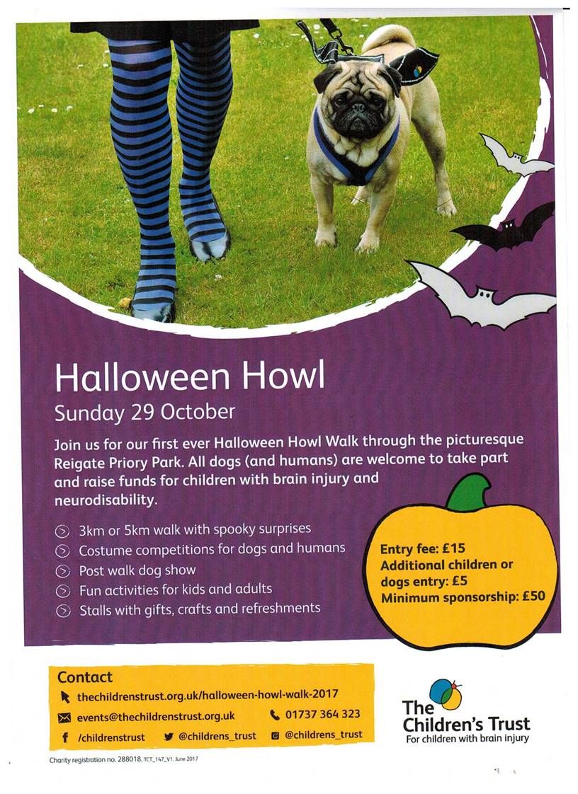 Don't miss the <a href="/Childrens_Trust/">The Children's Trust</a> 's first ever Halloween Howl Walk at Priory Park! All humans and dogs are welcome buff.ly/2vjllLX