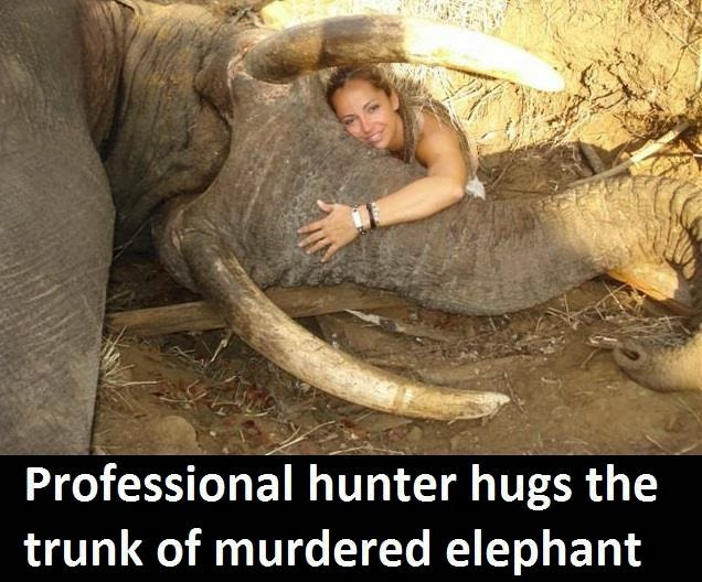 Protect_Wldlife's tweet photo. What a senseless waste. Why would you kill a majestic creature? And then you HUG it 😠! 

RT if you want a global ban on ALL trophy hunting! https://t.co/OPckEu6cjq