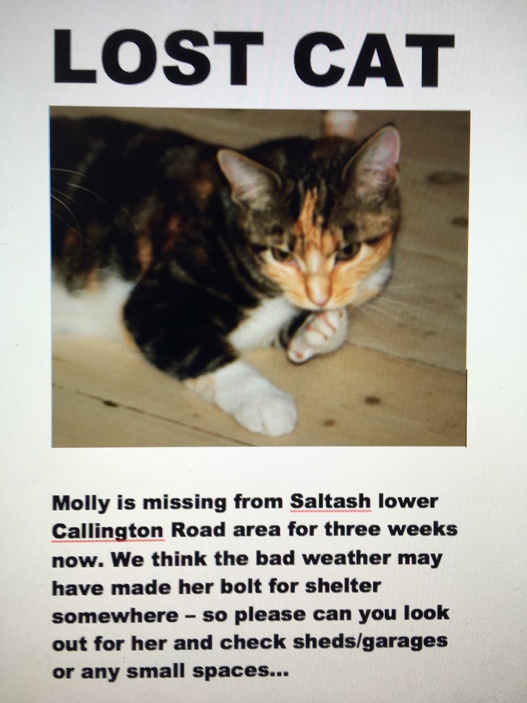 SaltashPolice's tweet image. #Saltash
Keep your eyes peeled for Molly👀🐱
Missing from her loving home for 3 weeks now. 
Any info let me know #Police 💙👮🏼‍♀️