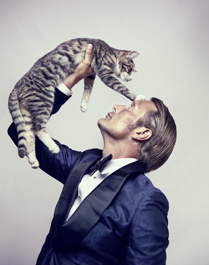 猫の日企画 ハリウッド俳優もメロメロ 猫とのお熱い関係 前編 海外ドラマnavi