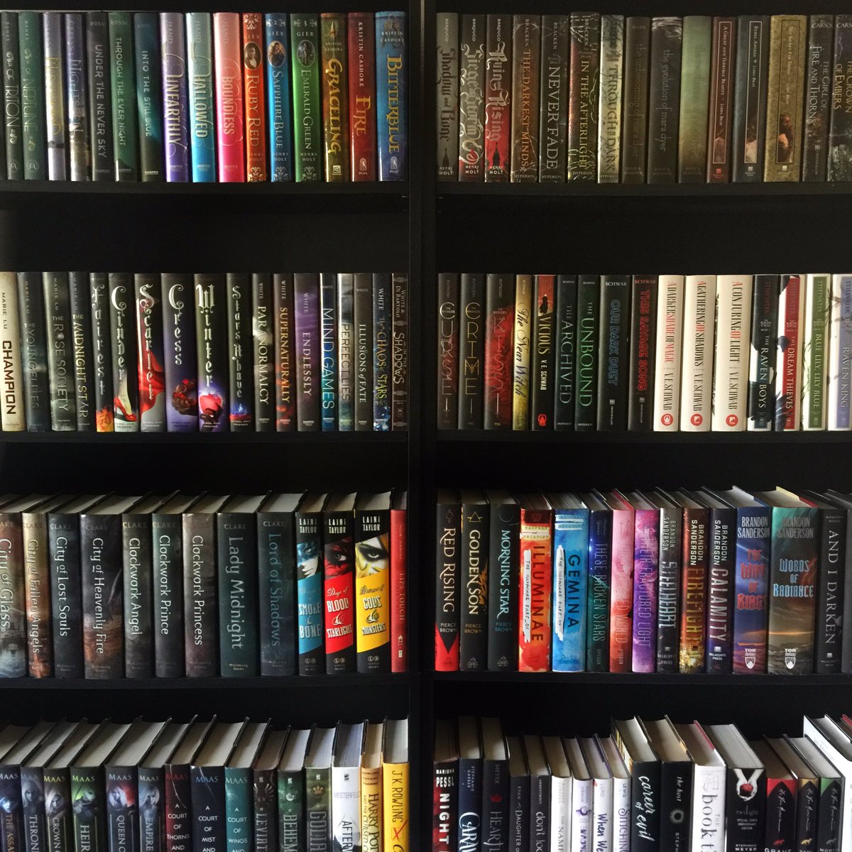 kat_tastic's tweet photo. #bookloversday? more like book lovers LIFE eyyyyy https://t.co/0QS9lx2LL8