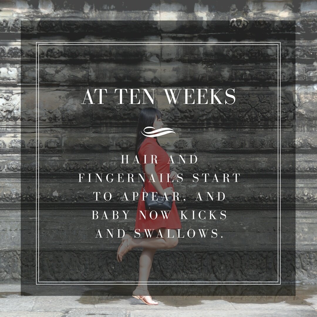 HeartlinePC's tweet photo. #fact https://t.co/Cv0MjvSDcG