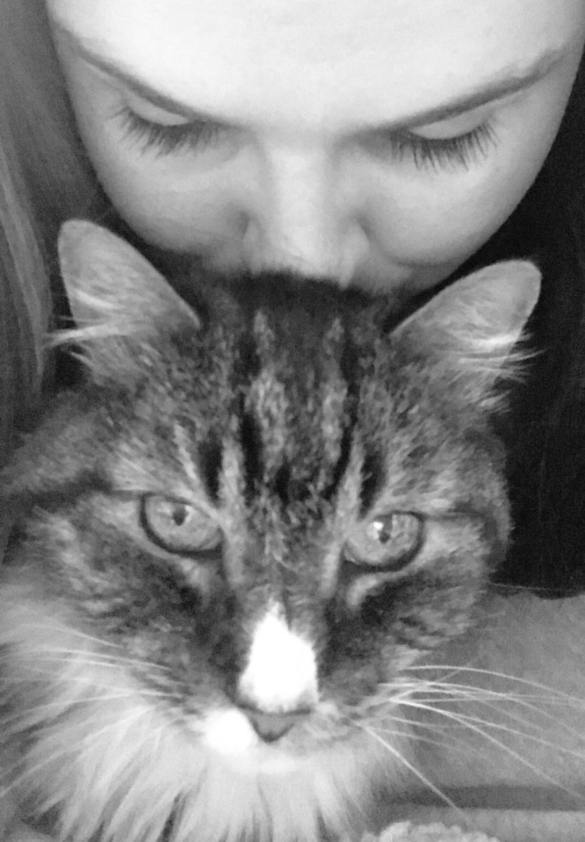 Erin_Breen_'s tweet photo. Happy #InternationalCatDay to my #1 babe !!! https://t.co/3IKnsa6Czt