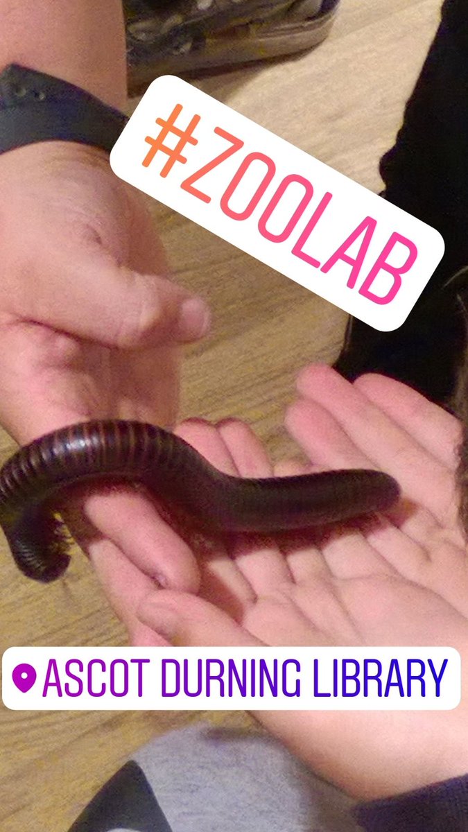 RBWM_Libraries's tweet photo. We have been having fun with @ZooLabUK today at #AscotDurningLibrary! 

#Keepthekidsbusy #summeractivities #SummerHolidays #AnimalAgents https://t.co/E0mtKvJdW1