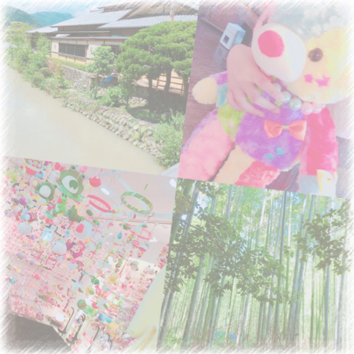 rena05031's tweet photo. ままとぱぱと京都の嵐山( ¨̮ )
食べたかった抹茶のかき���も食べれて幸せ❁︎
渡月橋めっちゃよかったのに台風で川の水茶色で残念(_ _)
竹林の小径めっちゃ涼しかったし綺麗୨୧⑅*
久しぶりの京都大満足！！\♡/ https://t.co/ZJeCOJCuoH