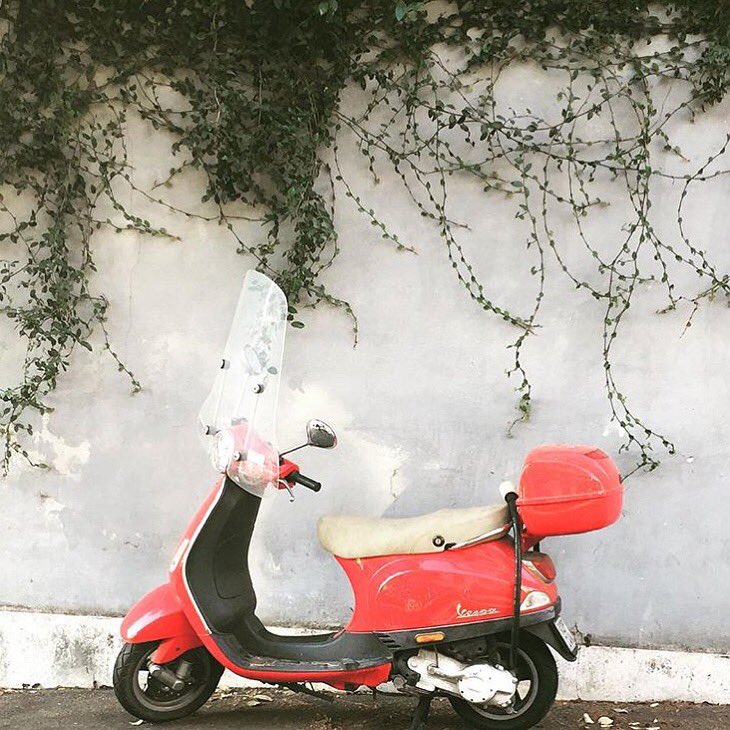 romebloggers's tweet photo. Vroom, vroom! 💨Happy Wednesday! 📸@ArleneAGibbs #roma #romebloggers https://t.co/IQqH4brMCX