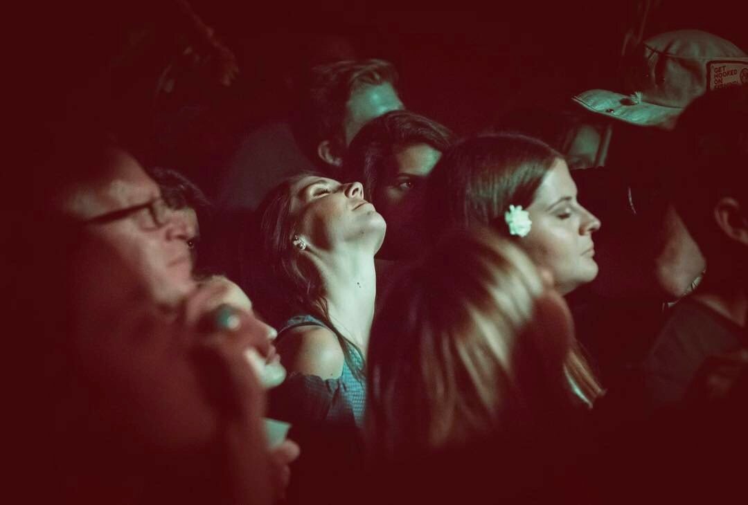 Cecily Ward tweet media