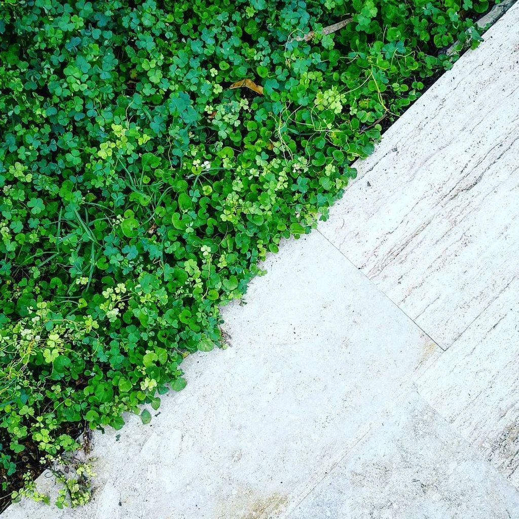 eminyeniacun's tweet photo. #instagood #photooftheday @droneoftheday #photoeveryday #cute #picture #beautiful #followme #happy #follow #fashio… https://t.co/WqQ1mTGACs https://t.co/MpXHG5Lm2e