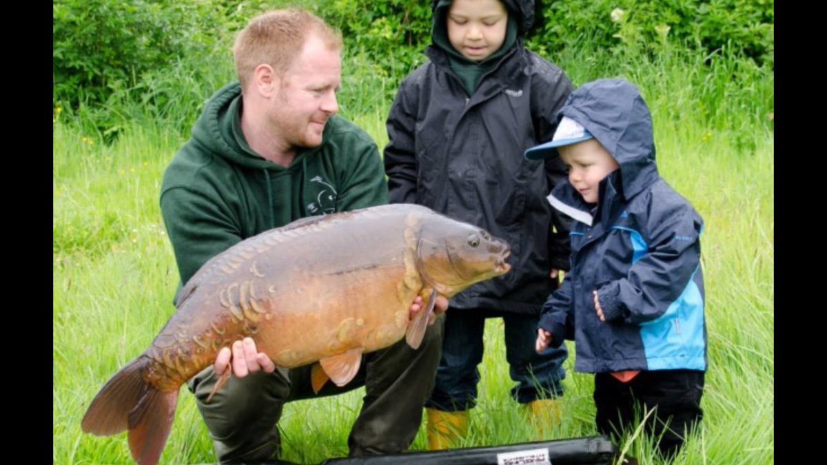 Bank Statement tweet media