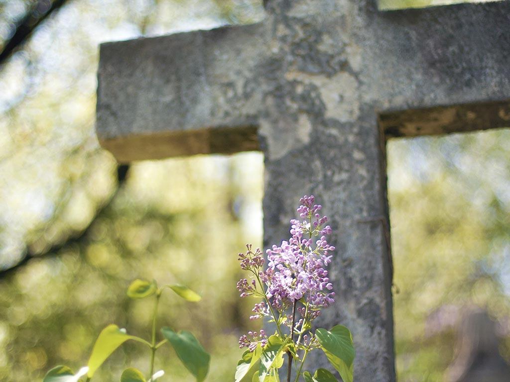 ndccharity's tweet photo. You don’t need to outsource Death ...... @Independent https://t.co/AmLegKvzRa #NaturalDeathMovement #hpm #HomeFuneral #FuneralChoices https://t.co/j334W4Iycx