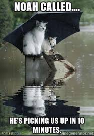 KampAccounts's tweet photo. Europe has +45degree weather warnings, UK has Flood and Storm warnings. Typical #britishsummertime #rainraingoaway https://t.co/IheNg3cynn