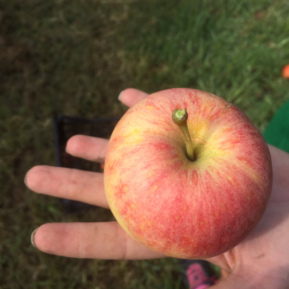 ZERO WASTE BCN tweet media