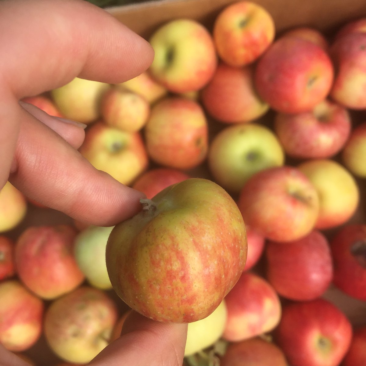 ZERO WASTE BCN tweet media