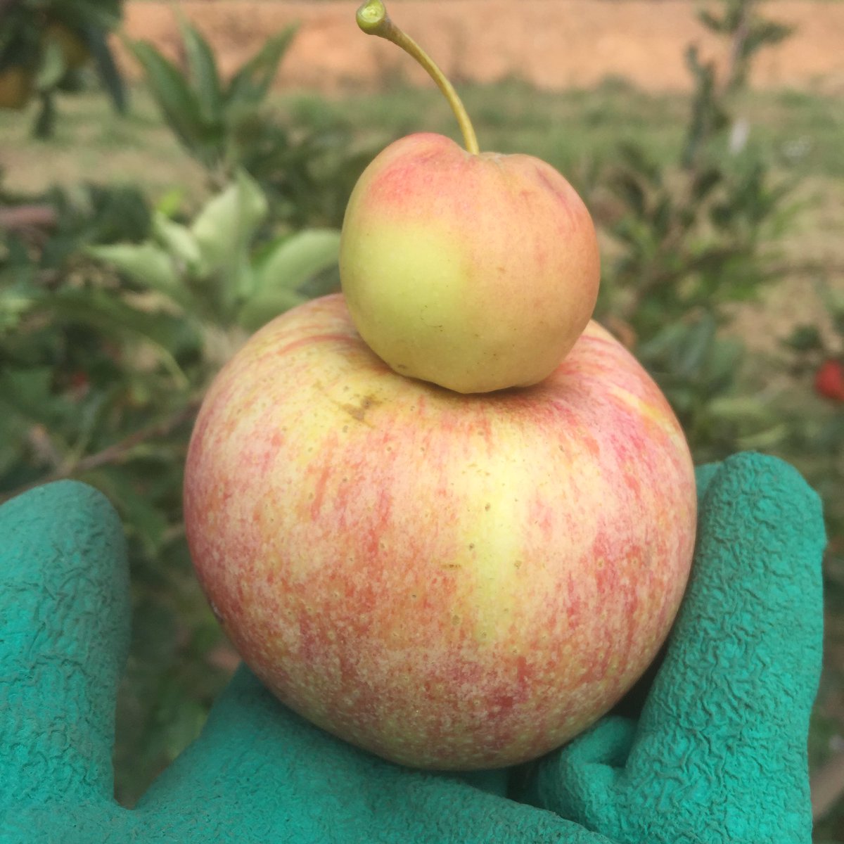 ZERO WASTE BCN tweet media