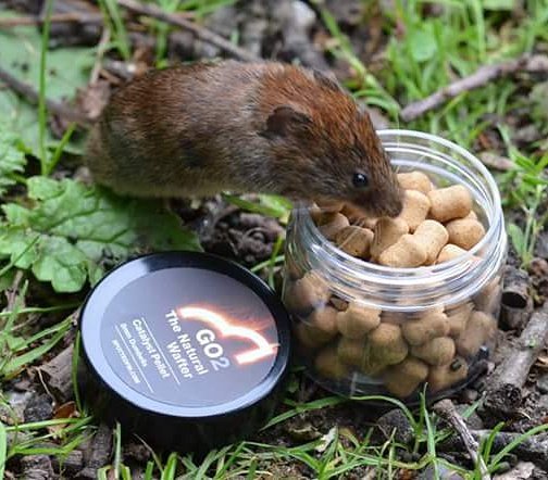 Clint Walker 🎣⚽️📸 tweet media