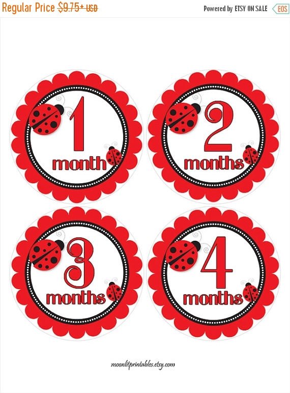 moonlitprints's tweet photo. SALE Ladybug Monthly Stickers #LadybugStickers Red Black https://t.co/U8bA32hc1e #babyphotoprops #milestonestickers https://t.co/6WVuJLYXQD
