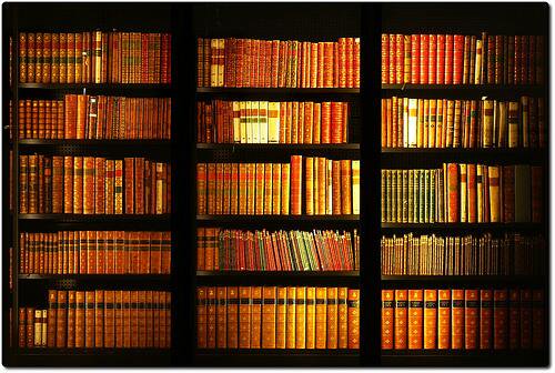 britishlibrary's tweet photo. Happy #BookLoversDay! What are you reading today? #shelfie https://t.co/cgQNvq20SN