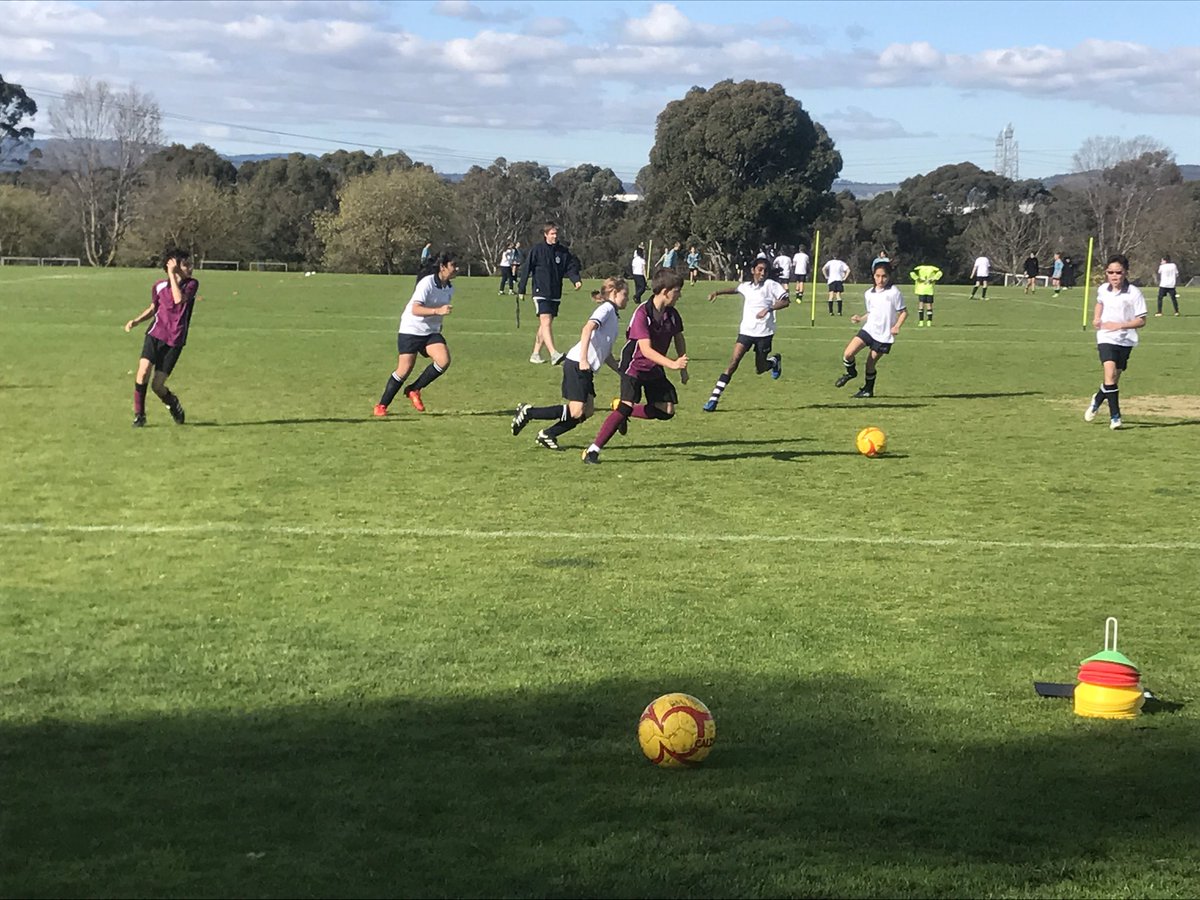 LizzyMotteram's tweet photo. Week 3 #primaryaps @APS_Sport @Haileybury @caulfieldgs https://t.co/uvb2CoMiKi