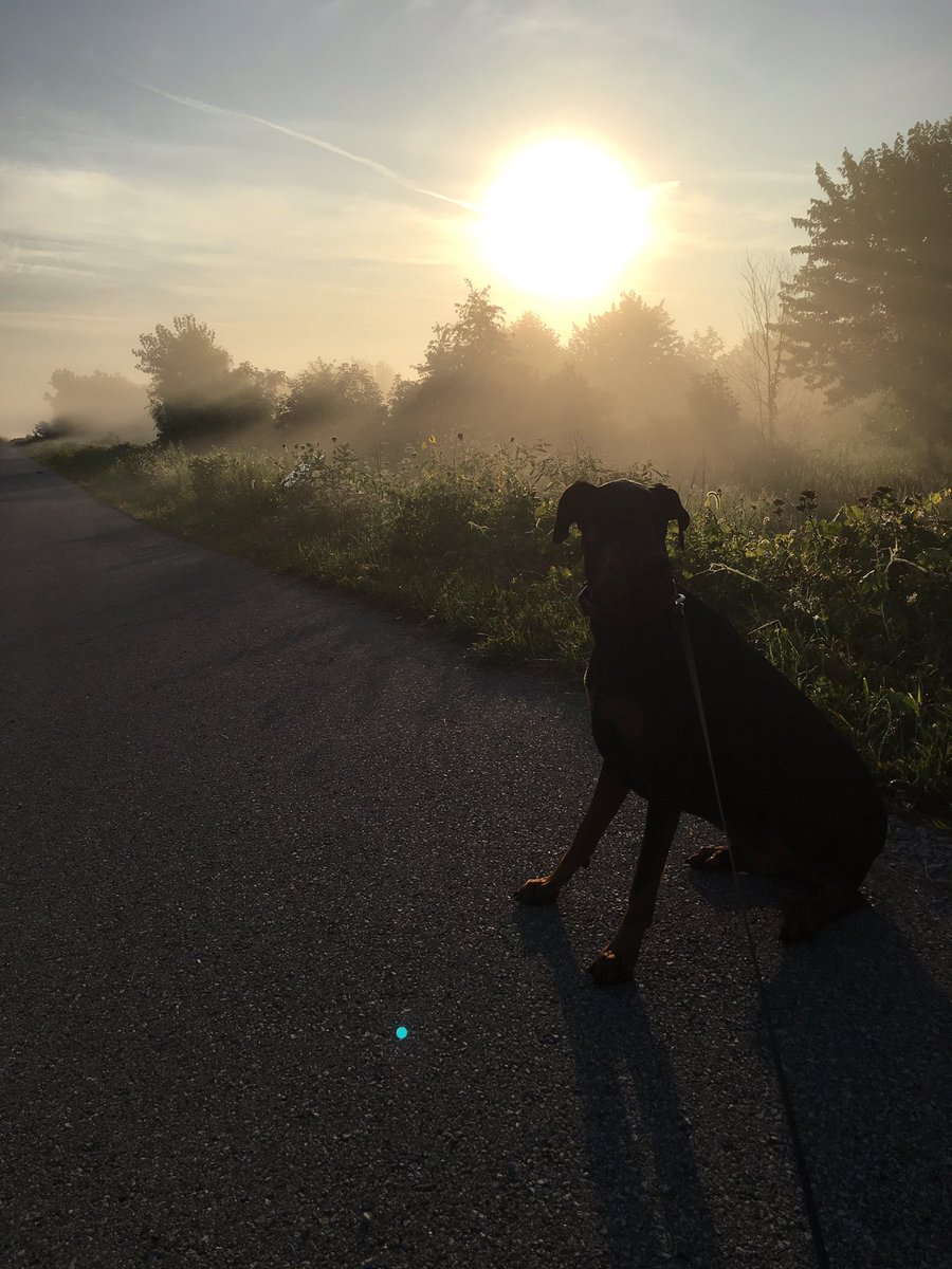 HeliPilotNeese's tweet photo. Flynn is thinking he's still in San Francisco with this morning fog. #CaliLife #HoosierStyle https://t.co/60N5Hw9r3O