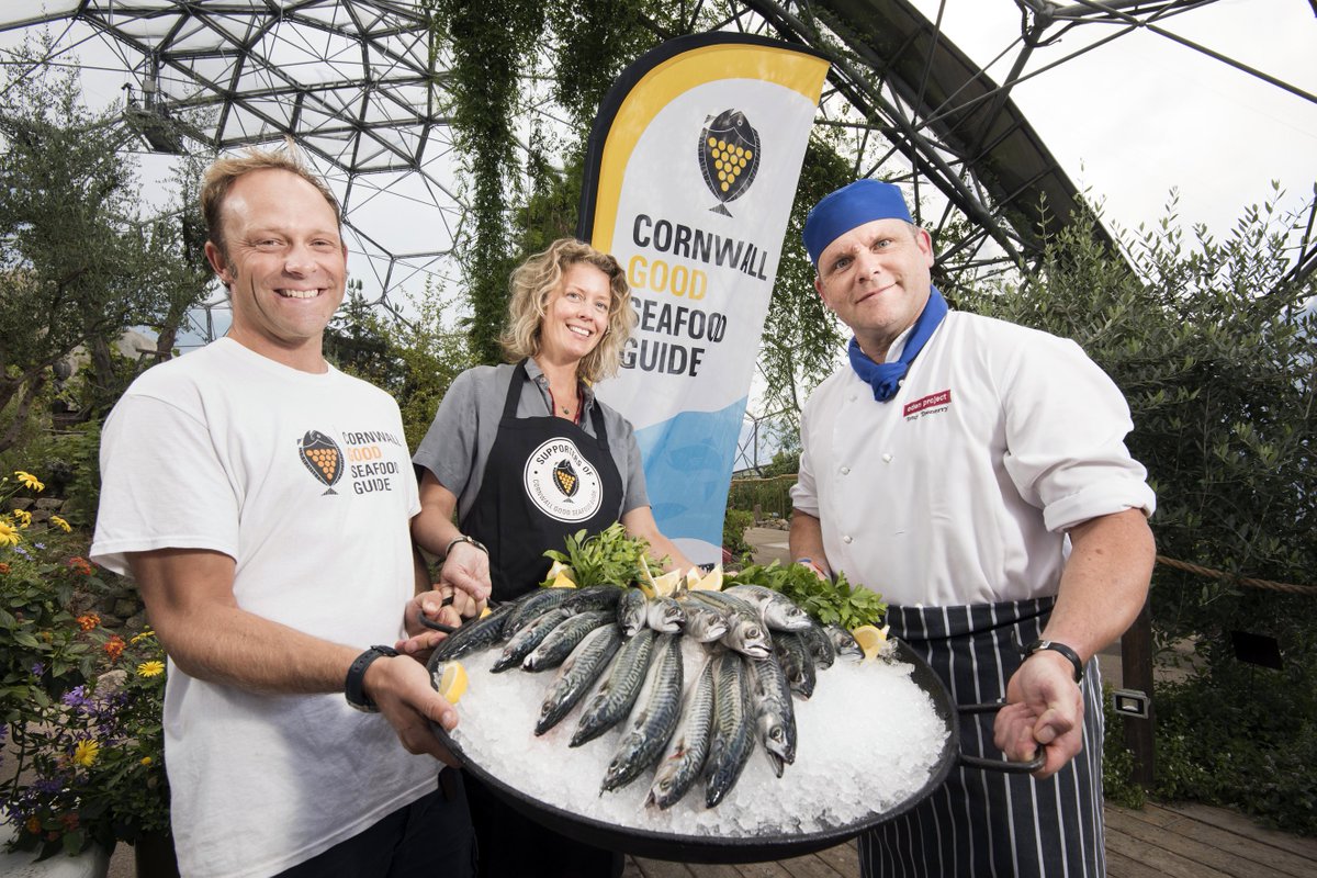 CornwaII's tweet image. Supporting good seafood j.mp/2vm2BK0 #Cornwall #Kernow