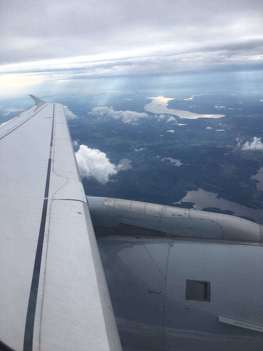 MasterFlowers tweet media