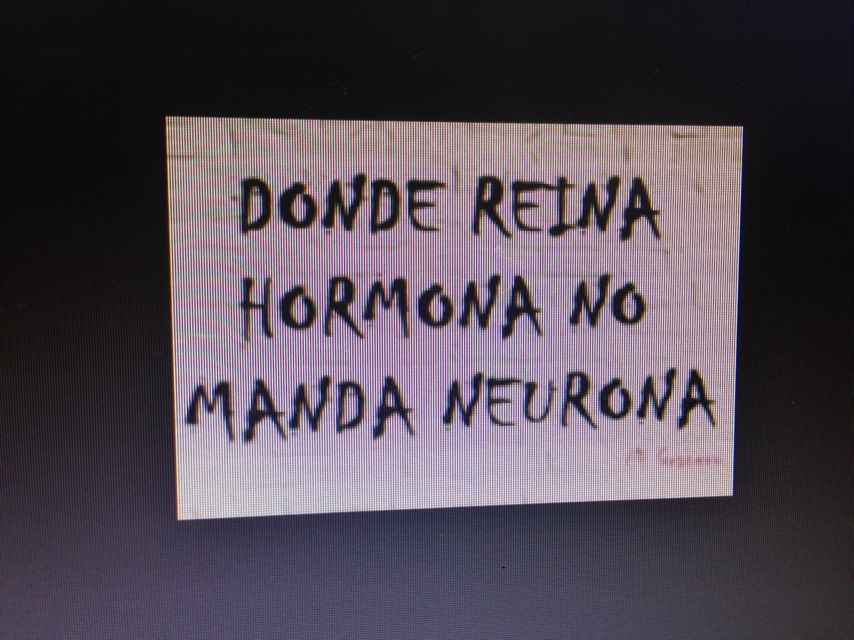 cgarcera's tweet photo. #lareinadelpais #descontrolparty https://t.co/HJ3HbSOwLW