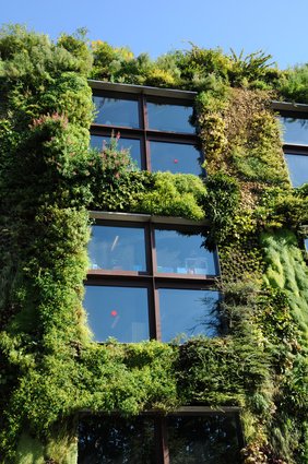 Des #plantes et des #mursvégétaux pour égayer les stations de #métro... y a plus qu'à exporter l'idée au #boulot po.st/VmH8lL