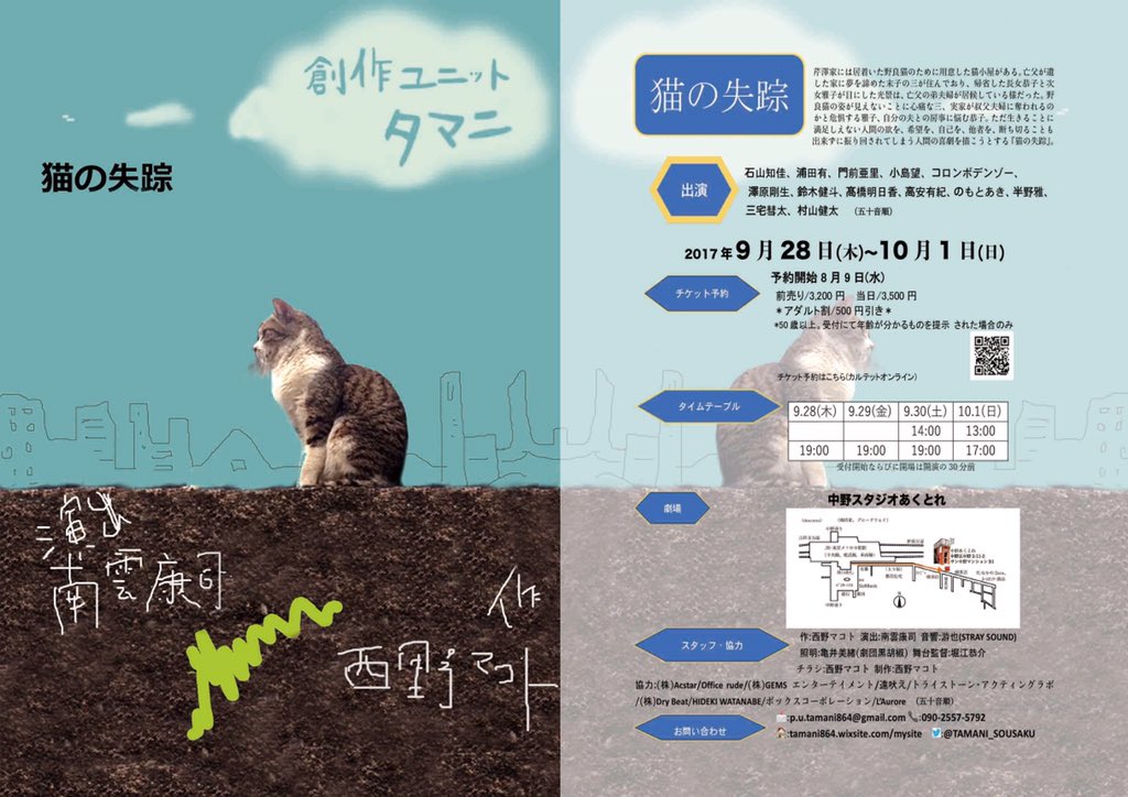 猫の失踪