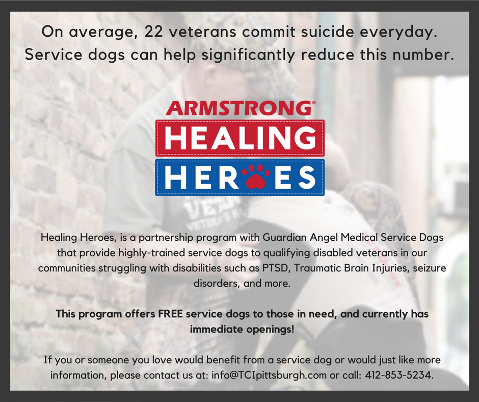 TCIpittsburgh's tweet photo. #Pittsburgh organization offers free #ServiceDogs to local veterans in need. Contact us for more information! https://t.co/AxftMb9ARl