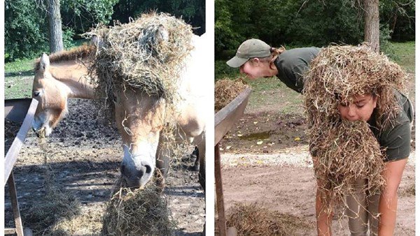PawHiApp's tweet photo. A team of zookeepers posed as the animals they look after and it’s genius | BreakingNews.ie https://t.co/Jv9JSkavDC https://t.co/qmCauaXvV8