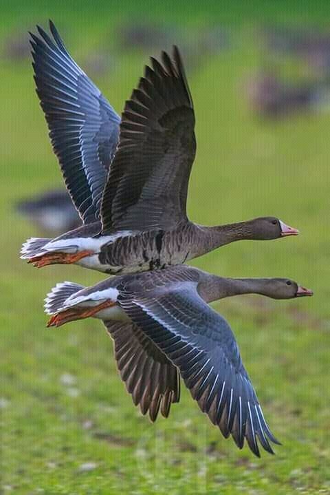 Nice moments photography