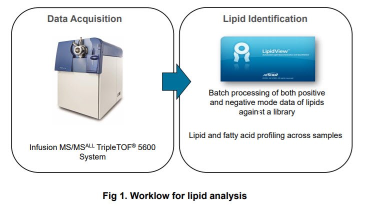 book Dissipative Phase Transitions