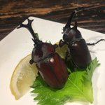 え、本当に食べれるの？!カブトムシを食べられるお店があるw