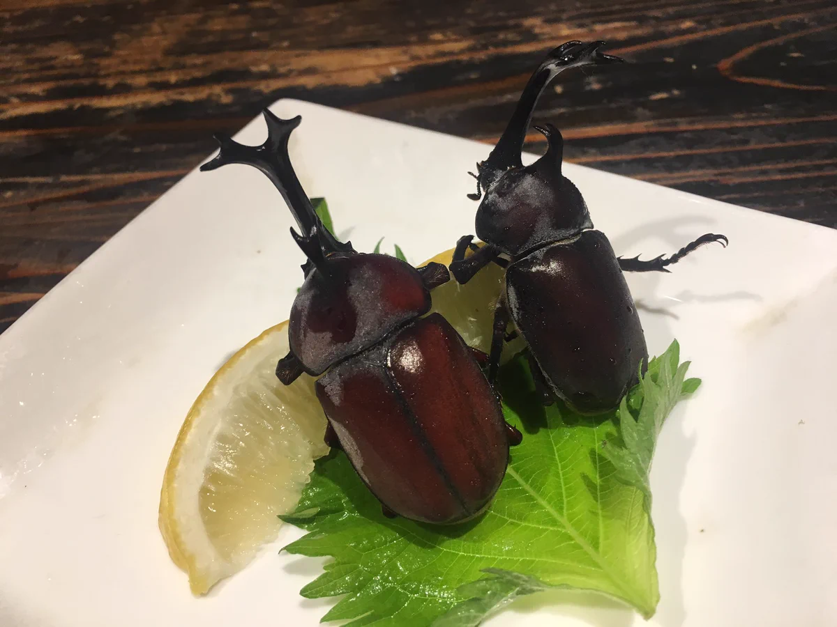え、本当に食べれるの？！カブトムシを食べられるお店があるww