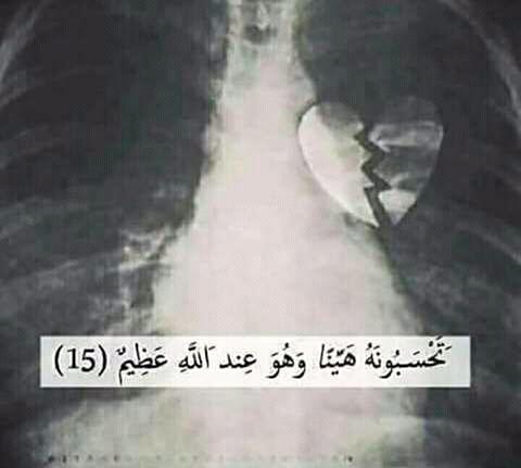GhadaDida2 tweet picture