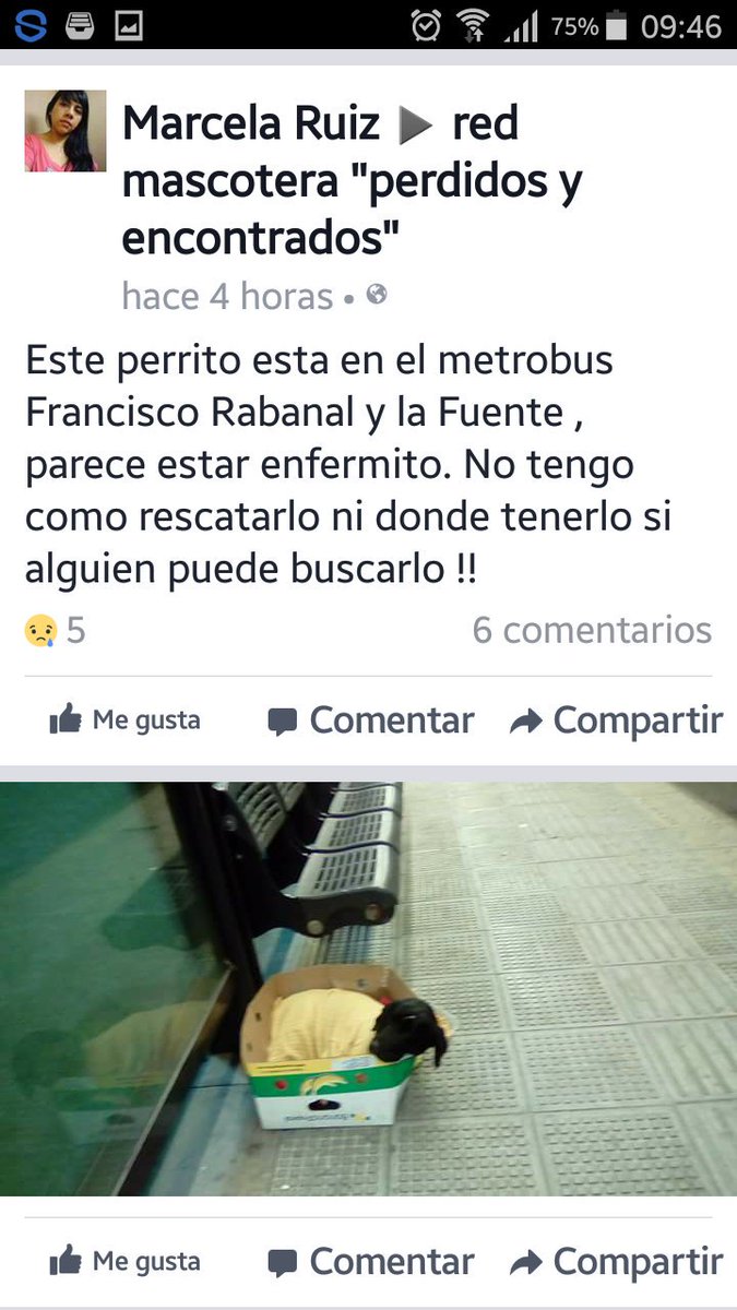 maramarkos's tweet image. m.facebook.com/groups/3843813…