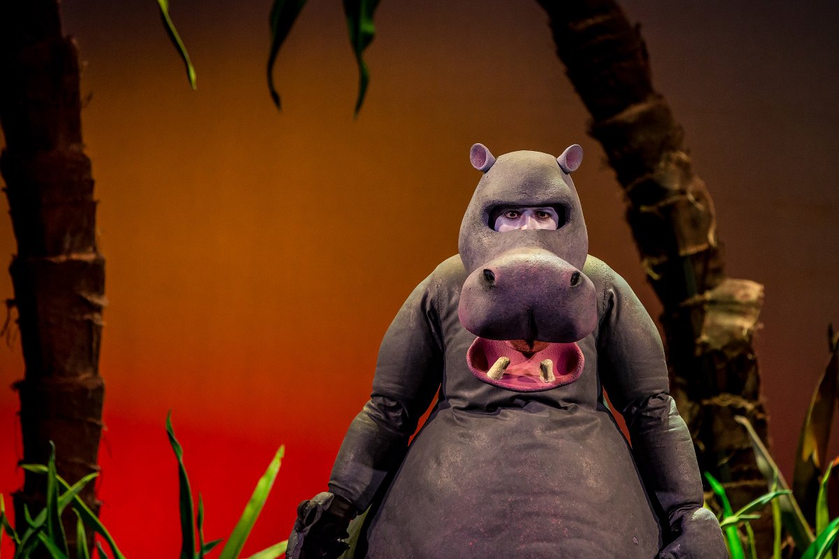 spyinthestalls's tweet photo. "Fun, dynamic and well-paced ... with a message to ‘dream big’" ★★★★ THE FIRST HIPPO ON THE MOON Review > https://t.co/vgWAP18mqz #EdFringe https://t.co/G0h6mnsdTV