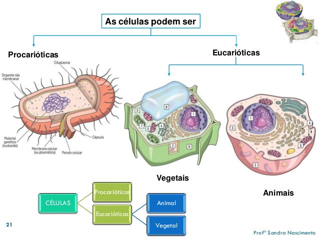 #eucariontes hashtag on Twitter