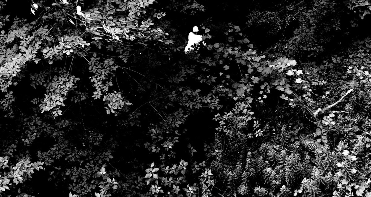 One_Shot_Movie's tweet photo. Recent entry: 'CHLOE' 🇨🇦 Submitted by: Howard Davis (Dir). Byline: Chloe Cooley in March 14, 1793, Upper Canada... #oneshot #Competition https://t.co/hopb1wjWc0